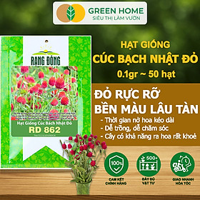 Hạt Giống Hoa Cúc Bách Nhật Đỏ GreenHome, Gói 0,1g~50 hạt, Dễ Trồng Quanh Năm, Ra Hoa Liên Tục H16