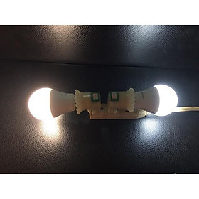 Bóng Đèn LED Bulb Tròn Rạng Đông 5W, Chip LED Sam Sung, Ánh Sáng Trắng Vàng - Hàng chính hãng