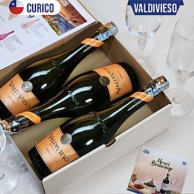 Rượu vang Chile VALDIVIESO BRUT - 750ml