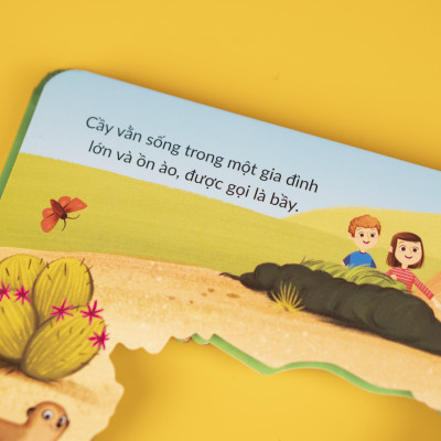 Sách Xuyên thấu chủ đề Vũ trụ, Sở thú - Đinh Tị Books