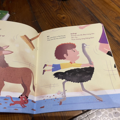 (Sách song ngữ Anh – Việt) CON NUÔI MỘT EM MÈO ĐƯỢC KHÔNG? - CAN I HAVE A LITTLE CAT? – Céline Claire , Sébastien Chebret - Bảo Bình dịch - Nhã Nam – bìa mềm minh họa in màu