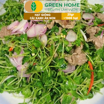 Hạt Giống Rau Cải Ăn Non Greenhome, Gói 20g~1000 hạt, Dễ Trồng Quanh Năm, Nảy Mầm Cao, Thu Hoạch Nhanh, Năng Suất Cao R05