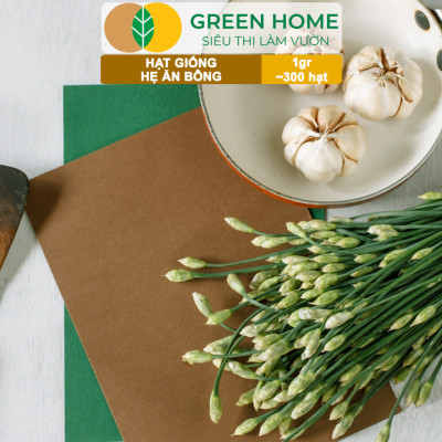 Hạt Giống Hẹ Ăn Bông GreenHome, Gói 1g~300 hạt, Nảy Mầm Đều, Giàu Dinh Dưỡng, Dễ Trồng Quanh Năm G20