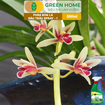 Phân Bón Lá Đầu Trâu Spray-1 Greenhome, Bình Điền, Chai 500ml, Nảy Chồi Ra Lá, Chuyên Lan Và Hoa Kiểng