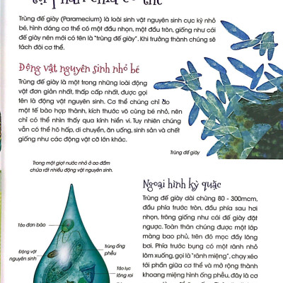 Động Vật Kỳ Quặc
