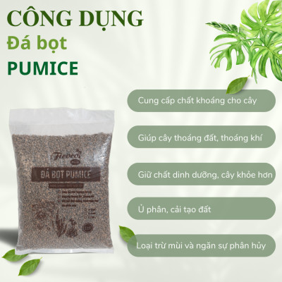Đá bọt pumice, trộn giá thể trồng hoa hồng, cây kiểng, trồng xương rồng, sen đá, túi 5 lít