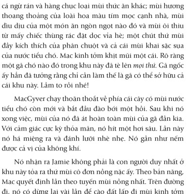 Nhân Duyên ... Mèo Định (FN)
