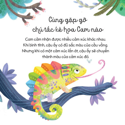 Cùng Con Trưởng Thành - Cầu Vồng Cảm Xúc (Dành CHo Độ Tuổi 3-9)