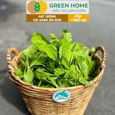 Hạt Giống Rau Cải Ăn Non Greenhome, Gói 20g~1000 hạt, Dễ Trồng Quanh Năm, Nảy Mầm Cao, Thu Hoạch Nhanh, Năng Suất Cao R05