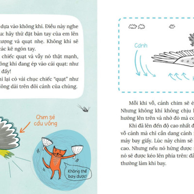 Sách - Khoa Học Bỏ Túi - Tại Sao Chim Bay Không Rơi?