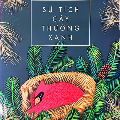 Sự Tích Cây Thường Xanh
