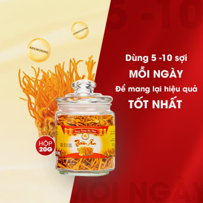 Đông Trùng Hạ Thảo Sấy Thăng Hoa Thiên Ân - Hũ 20g