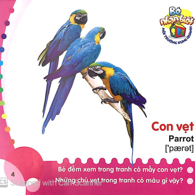 Bé Nhận Biết Môi Trường Xung Quanh (0 - 3 Tuổi) - Chim (Birds)