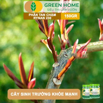 Phân tan chậm Rynan 230, chai 150gr, chuyên kiểng lá, dưỡng lá xanh, sinh trưởng khoẻ |Greenhome