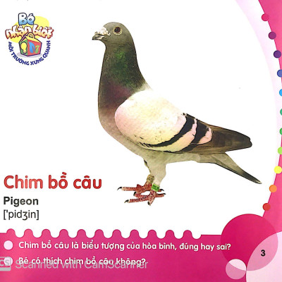 Bé Nhận Biết Môi Trường Xung Quanh (0 - 3 Tuổi) - Chim (Birds)