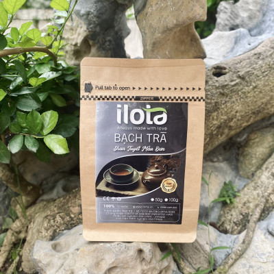 Bạch Trà Mẫu Đơn - Trà Shan Tuyết Cổ Thụ đỉnh Tây Côn Lĩnh Hà Giang loại 1 túi 50gr