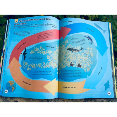 Sách - 100 Bí Ẩn Đáng Kinh Ngạc Về Các Đại Dương - Đinh Tị Books