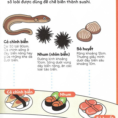 Gi Gỉ Gì Gi Cái Gì Cũng Biết - Dành Cho Lớp 2