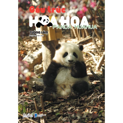 Gấu trúc Hoa Hoa - Amak