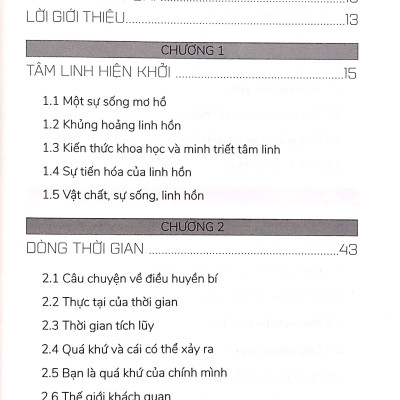 Câu Chuyện Linh Hồn - Chuyến Du Ngoạn Kỳ Bí Và Mầu Nhiệm Về Mục Đích Cuộc Đời