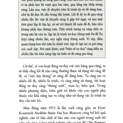 Sơ Đồ Tư Duy