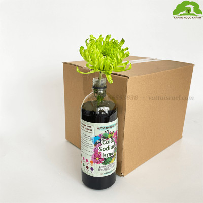Màu Nhuộm Hoa Tươi Cắt Cành Công Nghệ Israel The Color Sodium (Chai 1 lít) là chế phẩm sinh học an toàn dùng đổi màu hoa tươi tại nhà và shop hoa