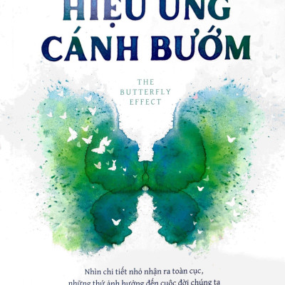 Hiệu Ứng Cánh Bướm - The Butterfly Effect