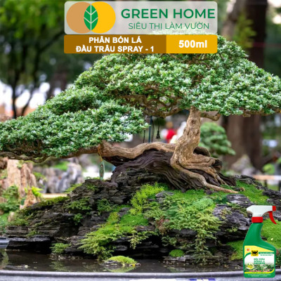 Phân Bón Lá Đầu Trâu Spray-1 Greenhome, Bình Điền, Chai 500ml, Nảy Chồi Ra Lá, Chuyên Lan Và Hoa Kiểng