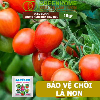 Phân Bón Canxi Bo Greenhome, Viên 10Gr, Tăng Đậu Trái, Chống Rụng Hoa Và Trái Non, Chống Thối Trái