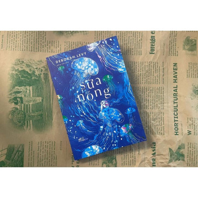 Sữa Nóng