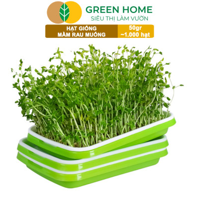 Hạt Giống Mầm Rau Muống Greenhome, Gói 50g~1000 hạt, Dễ Trồng Quanh Năm, Nảy Mầm Cao, Thu Hoạch Nhanh, Năng Suất Cao R14