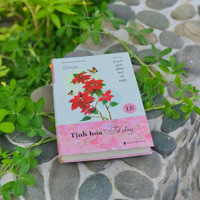 Sách - Tịnh Hóa Tư Duy - Tập 18 - Tuyển Tập Ranh Giới Giữa Mê Và Ngộ - Đại Sư Tinh Vân - Vĩnh Nghiêm Book