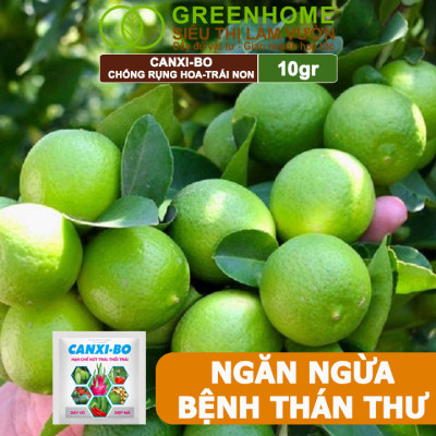 Phân Bón Canxi Bo Greenhome, Viên 10Gr, Tăng Đậu Trái, Chống Rụng Hoa Và Trái Non, Chống Thối Trái