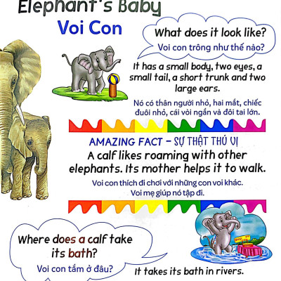 Mẹ Hỏi Bé Trả Lời - Song Ngữ Anh-Việt - Baby Animals - Những Con Vật Bé Bỏng (Dành Cho Trẻ Từ 2-7 Tuổi)