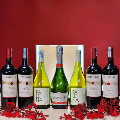 Vang Đỏ Chile GRAND RESERVA CABERNET SAUVIGNON