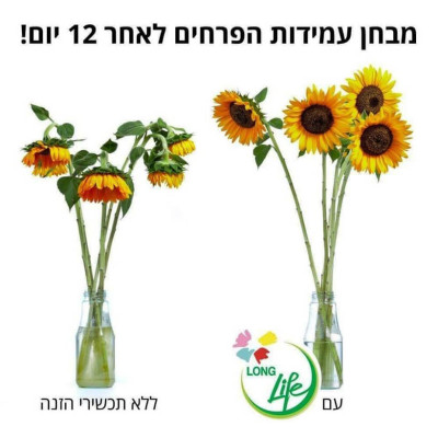 Thuốc Gói Dưỡng Hoa Tươi Lâu Tàn Longlife Nhập Khẩu Israel Gói 5gr dưỡng hoa cắt cành tươi lâu gấp 2 lần, nước trong không mùi