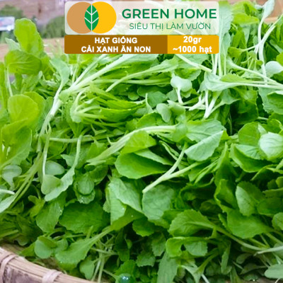 Hạt Giống Rau Cải Ăn Non Greenhome, Gói 20g~1000 hạt, Dễ Trồng Quanh Năm, Nảy Mầm Cao, Thu Hoạch Nhanh, Năng Suất Cao R05