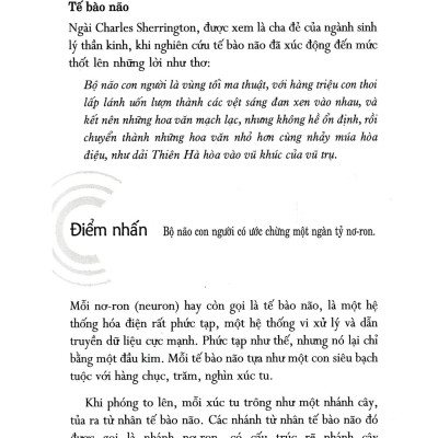 Sơ Đồ Tư Duy