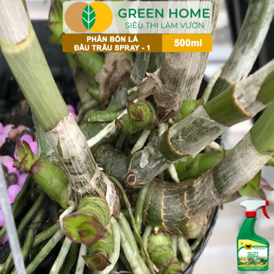 Phân Bón Lá Đầu Trâu Spray-1 Greenhome, Bình Điền, Chai 500ml, Nảy Chồi Ra Lá, Chuyên Lan Và Hoa Kiểng