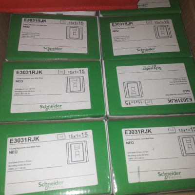 Ổ điện thoại/internet E3031RJK GS Bạc Schneider | Chính hãng |