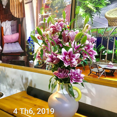 Bột Cắm Hoa Lily Tươi Lâu, Hiệu Longlife nhập khẩu Isarel (Bộ 30 gói)