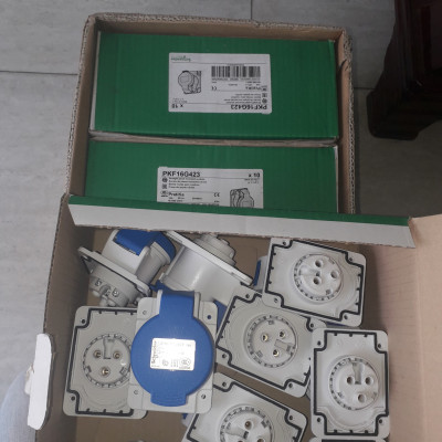 Ổ cắm công nghiệp PKF16G423 Schneider gắng tủ, tường 2P+E 16A | Chính hãng |