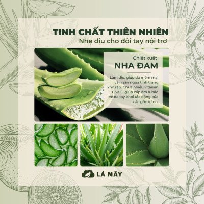 NƯỚC LAU ĐA NĂNG TÍA TÔ & NHA ĐAM LÁ MÂY 500mL