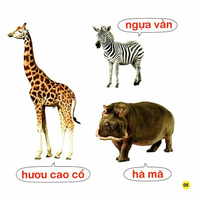 100 Từ Đầu Đời Của Bé: Con Vật (Tái Bản 2023)
