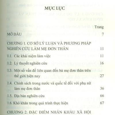 Bà Mẹ Đơn Thân Ở Đô Thị Hiện Nay - Nghiên Cứu Trường Hợp Tại Thành Phố Hà Nội (Sách chuyên khảo)