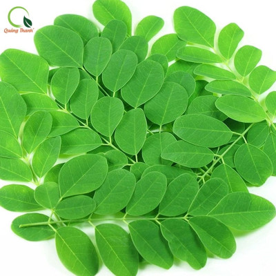 Bột Chùm Ngây Sấy Lạnh Nguyên Chất Hộp 45g - Bột dinh dưỡng ăn dặm cho bé, tăng cường sức khỏe