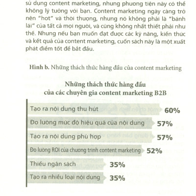 Bí Kíp Viết Content Đỉnh Cao - Cách Tăng Gấp Đôi Hiệu Quả Chiến Dịch Marketing - Robert W. Bly; Nhật Linh dịch