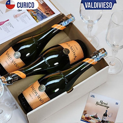 Rượu vang Chile VALDIVIESO BRUT - 750ml