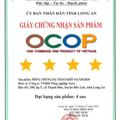 Combo 3 lọ khô 50gram thủy tinh Đông trùng hạ thảo sấy thăng hoa [Mua 2 được 3]