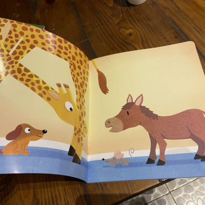 (Sách song ngữ Anh – Việt) CON NUÔI MỘT EM MÈO ĐƯỢC KHÔNG? - CAN I HAVE A LITTLE CAT? – Céline Claire , Sébastien Chebret - Bảo Bình dịch - Nhã Nam – bìa mềm minh họa in màu